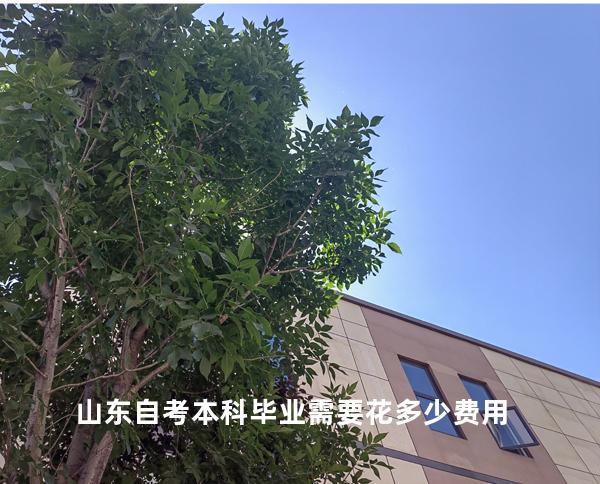 山东自考本科毕业需要花多少费用