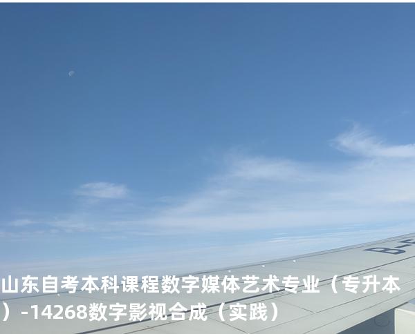山东自考本科课程数字媒体艺术专业（专升本）-14268数字影视合成（实践）