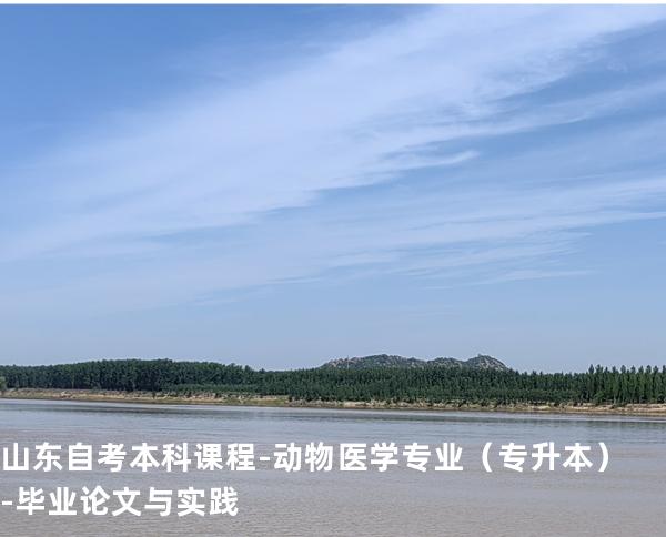 山东自考本科课程-动物医学专业（专升本）-毕业论文与实践
