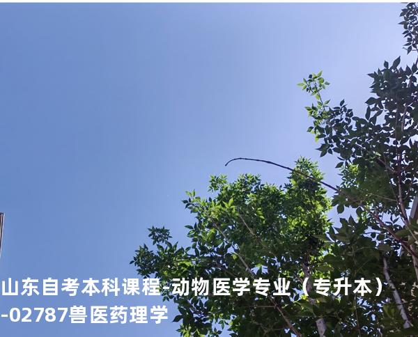 山东自考本科课程-动物医学专业（专升本）-02787兽医药理学