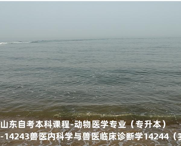 山东自考本科课程-动物医学专业（专升本）-14243兽医内科学与兽医临床诊断学 14244 （实践）
