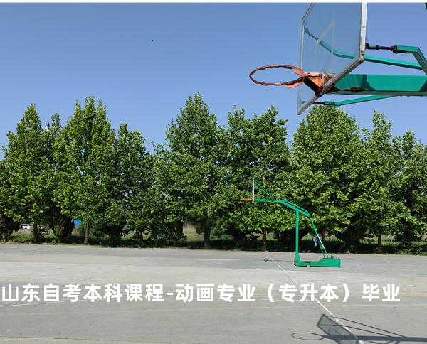 山东自考本科课程-动画专业（专升本）毕业