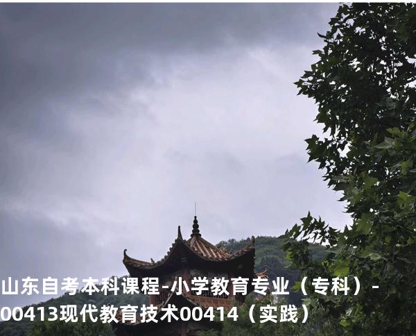山东自考本科课程-小学教育专业（专科）-00413现代教育技术 00414 （实践）
