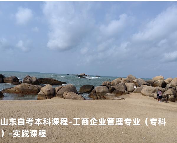 山东自考本科课程-工商企业管理专业（专科）-实践课程
