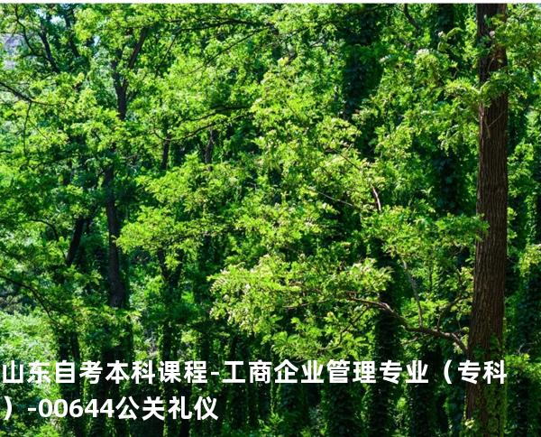 山东自考本科课程-工商企业管理专业（专科）-00644公关礼仪
