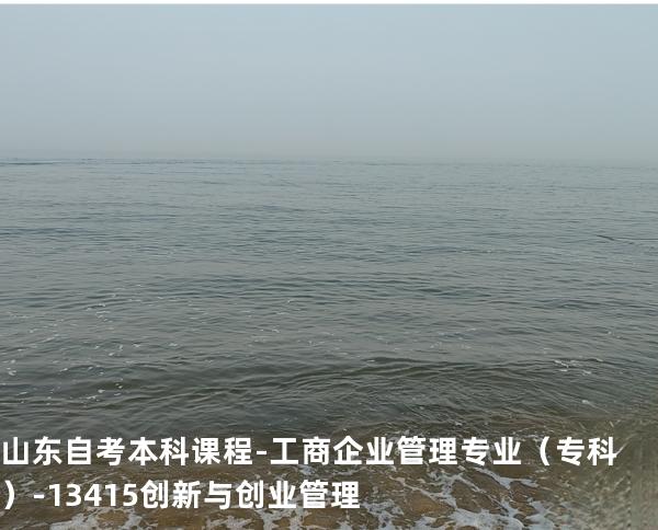 山东自考本科课程-工商企业管理专业（专科）-13415创新与创业管理