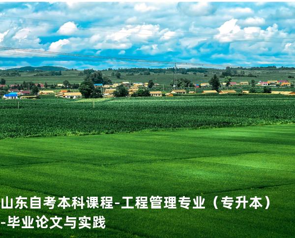 山东自考本科课程-工程管理专业（专升本）-毕业论文与实践