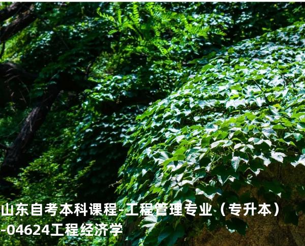 山东自考本科课程-工程管理专业（专升本）-04624工程经济学