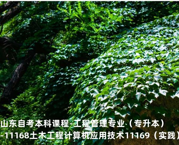 山东自考本科课程-工程管理专业（专升本）-11168土木工程计算机应用技术 11169（实践）