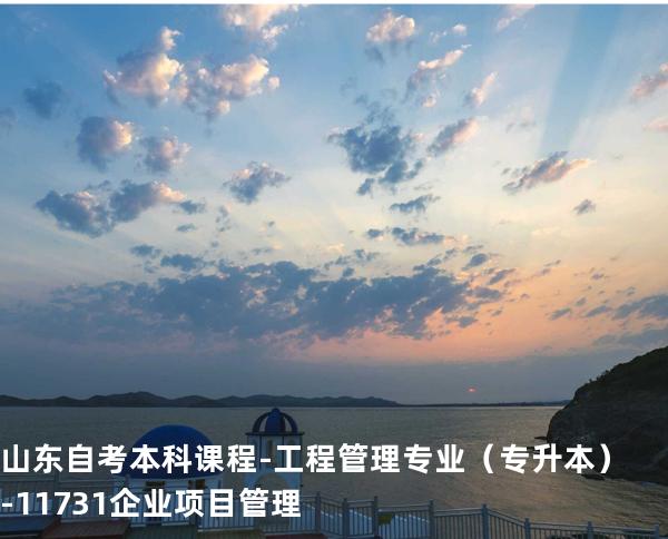 山东自考本科课程-工程管理专业（专升本）-11731企业项目管理
