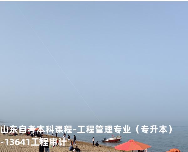 山东自考本科课程-工程管理专业（专升本）-13641工程审计