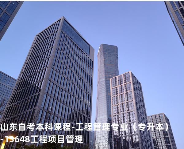 山东自考本科课程-工程管理专业（专升本）-13648工程项目管理