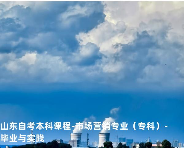 山东自考本科课程-市场营销专业（专科）-毕业与实践