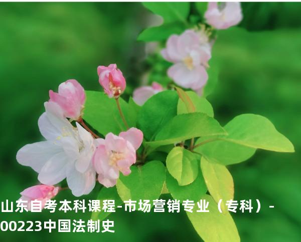 山东自考本科课程-市场营销专业（专科）-00223中国法制史