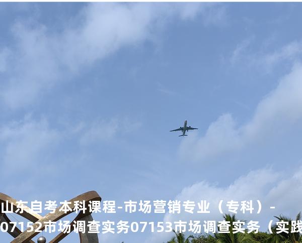山东自考本科课程-市场营销专业（专科）-07152市场调查实务07153市场调查实务（实践）