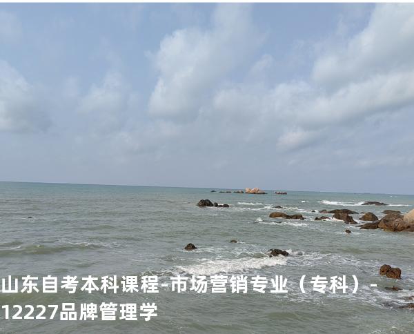 山东自考本科课程-市场营销专业（专科）-12227品牌管理学