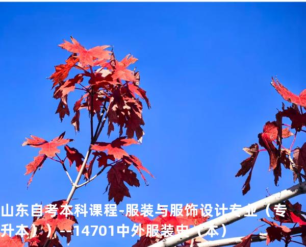 山东自考本科课程-服装与服饰设计专业（专升本））--14701中外服装史（本）