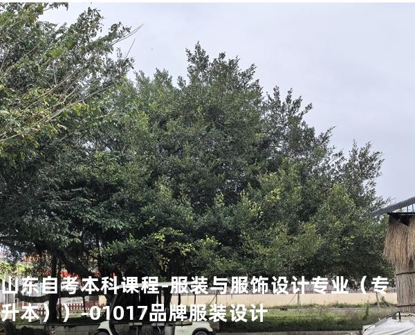 山东自考本科课程-服装与服饰设计专业（专升本））- 01017品牌服装设计