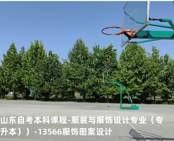 山东自考本科课程-服装与服饰设计专业（专升本））-13566服饰图案设计