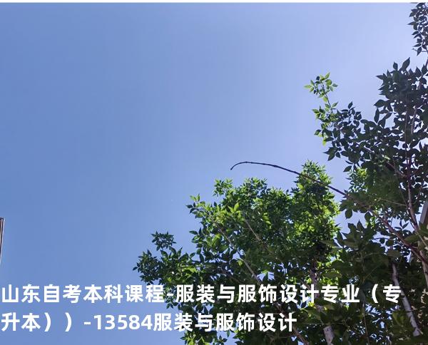 山东自考本科课程-服装与服饰设计专业（专升本））-13584服装与服饰设计