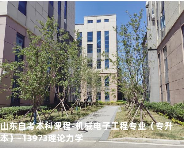 山东自考本科课程-机械电子工程专业（专升本）-13973理论力学