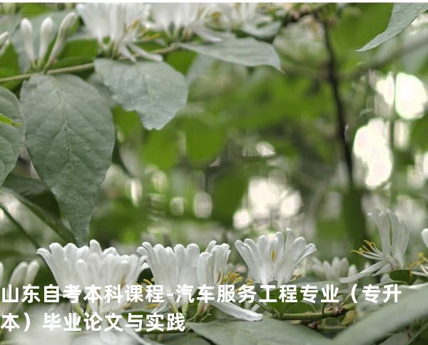 山东自考本科课程-汽车服务工程专业（专升本）毕业论文与实践