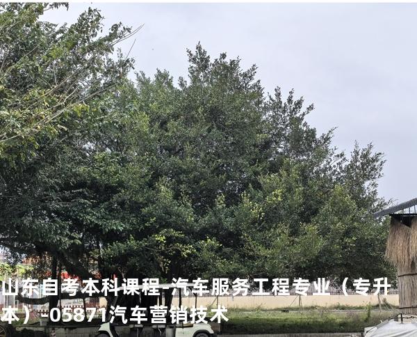 山东自考本科课程-汽车服务工程专业（专升本）-05871汽车营销技术