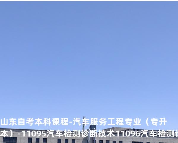 山东自考本科课程-汽车服务工程专业（专升本）-11095汽车检测诊断技术 11096汽车检测诊断技术（实践）