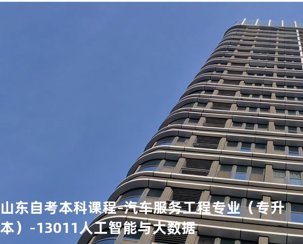 山东自考本科课程-汽车服务工程专业（专升本）-13011人工智能与大数据