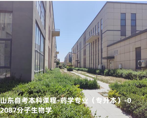山东自考本科课程-药学专业（专升本）-02087分子生物学