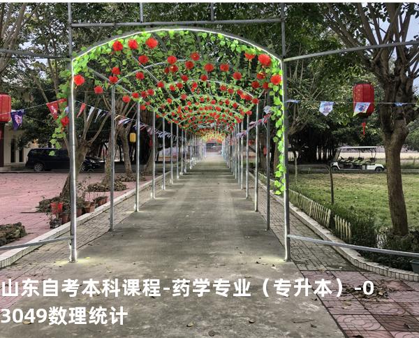 山东自考本科课程-药学专业（专升本）- 03049数理统计