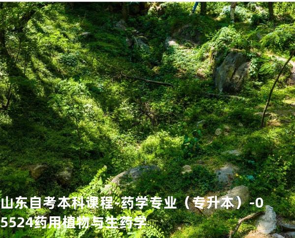 山东自考本科课程-药学专业（专升本）-05524药用植物与生药学