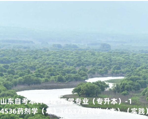 山东自考本科课程-药学专业（专升本）-14536药剂学（本） 14537药剂学（本）（实践）