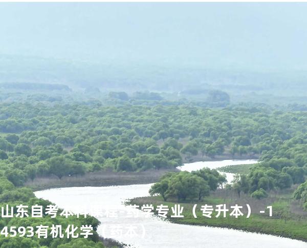 山东自考本科课程-药学专业（专升本）-14593有机化学（药本）