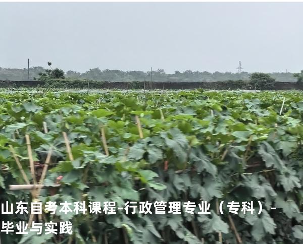 山东自考本科课程-行政管理专业（专科）-毕业与实践