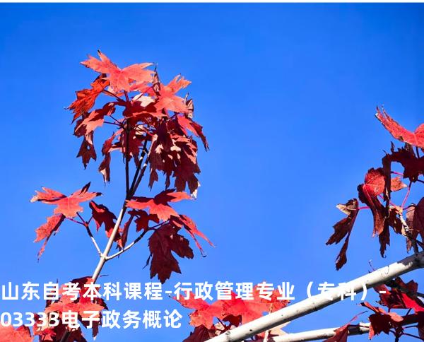山东自考本科课程-行政管理专业（专科）-03333电子政务概论