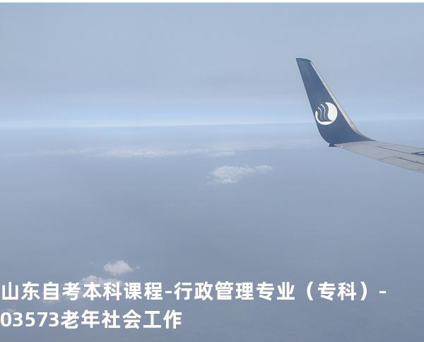 山东自考本科课程-行政管理专业（专科）-03573老年社会工作