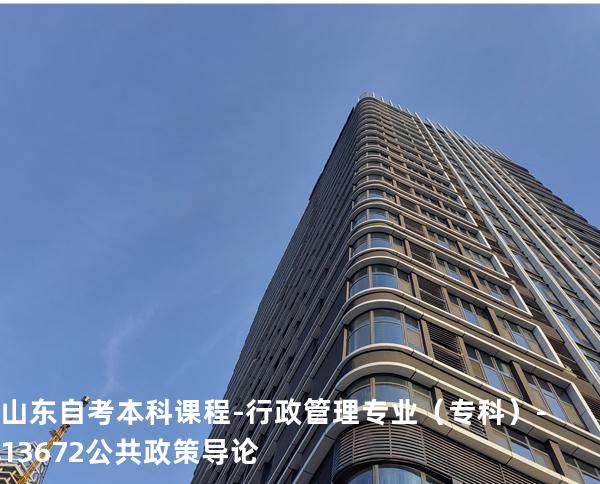 山东自考本科课程-行政管理专业（专科）-13672公共政策导论
