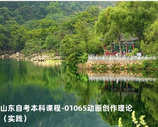 山东自考本科课程-01065动画创作理论（实践）