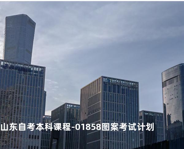 山东自考本科课程-01858图案考试计划