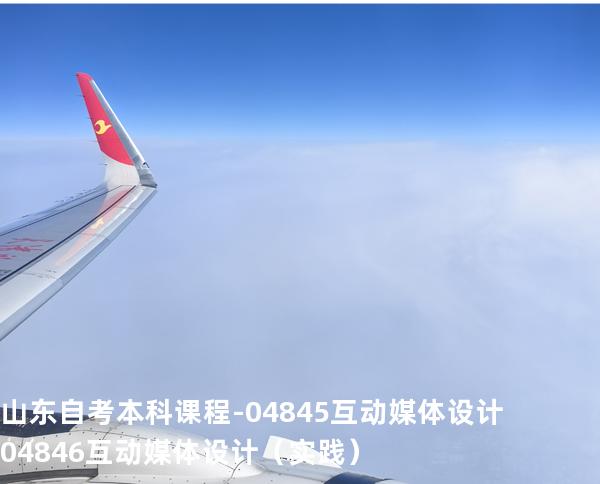 山东自考本科课程-04845互动媒体设计 04846互动媒体设计（实践）