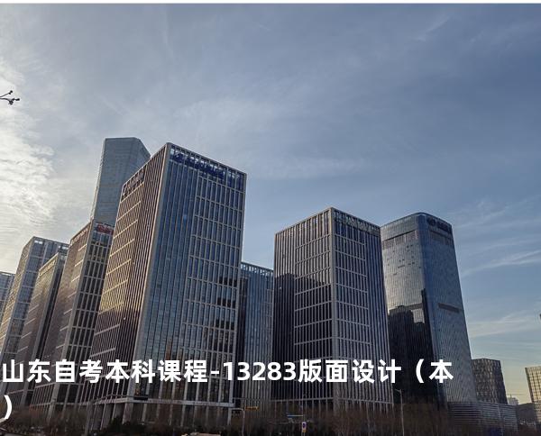 山东自考本科课程- 13283版面设计（本）