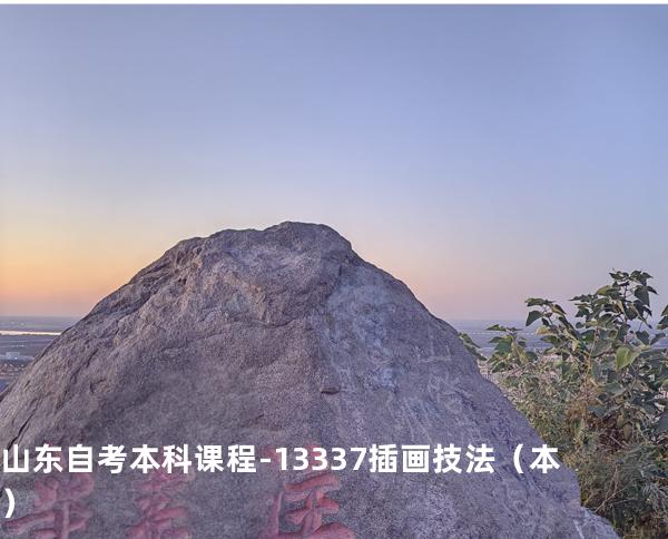 山东自考本科课程-13337插画技法（本）