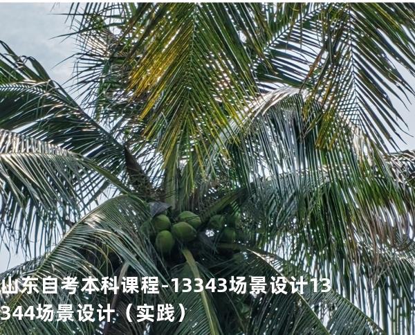 山东自考本科课程- 13343场景设计 13344场景设计（实践）