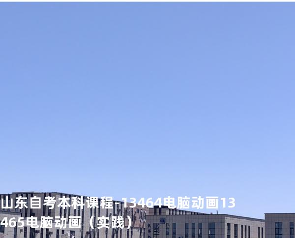 山东自考本科课程-13464电脑动画 13465电脑动画（实践）