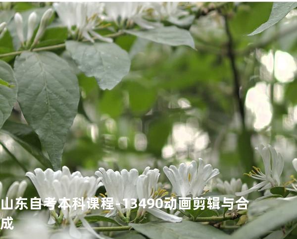 山东自考本科课程-13490动画剪辑与合成