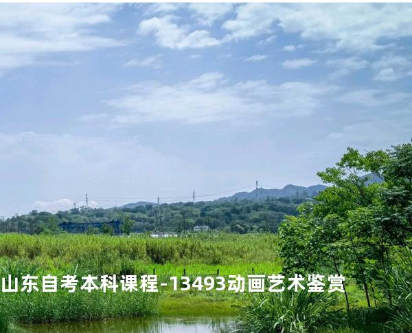 山东自考本科课程-13493动画艺术鉴赏