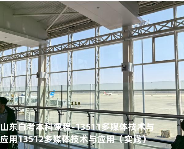 山东自考本科课程-13511多媒体技术与应用 13512多媒体技术与应用（实践）