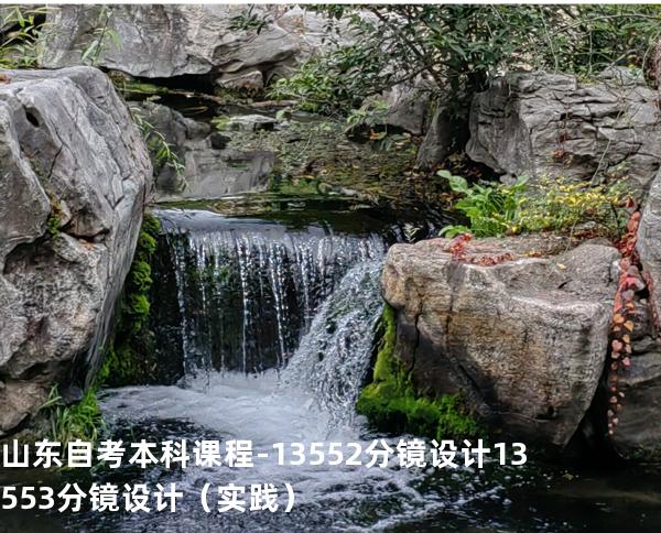 山东自考本科课程-13552分镜设计 13553分镜设计（实践）