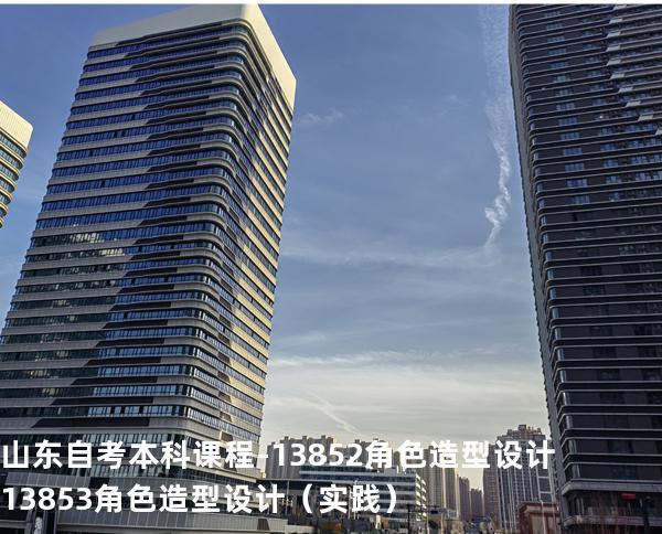 山东自考本科课程-13852角色造型设计 13853角色造型设计（实践）